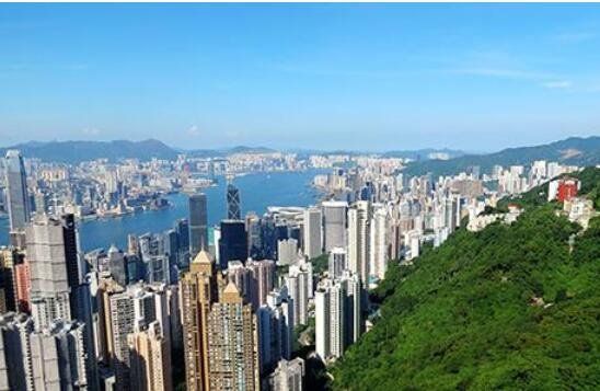 TMGM平台动态-投资移民香港具有的优势和劣势你都清楚吗?投资移民香港不可盲目(2024年12月05日)